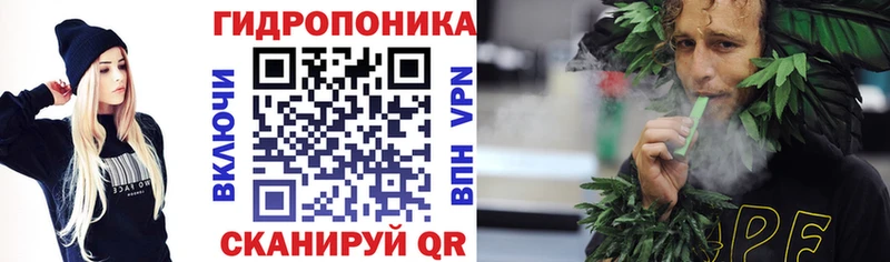 Магазин наркотиков Снежногорск Амфетамин  Меф мяу мяу  Гашиш  Бошки Шишки  COCAIN 