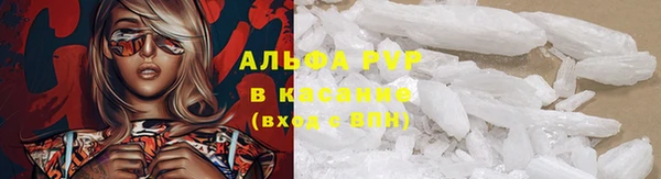 ПСИЛОЦИБИНОВЫЕ ГРИБЫ Волоколамск