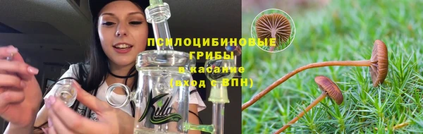 ПСИЛОЦИБИНОВЫЕ ГРИБЫ Волоколамск
