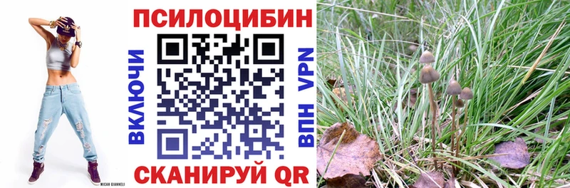 наркошоп  Снежногорск  Галлюциногенные грибы Psilocybine cubensis 